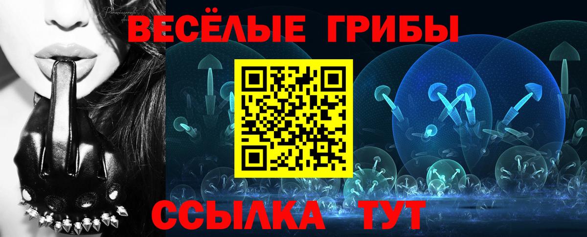 что такое   Вход с VPN  Псилоцибиновые грибы Psilocybe  Кондопога  Галлюциногенные грибы Magic Shrooms 